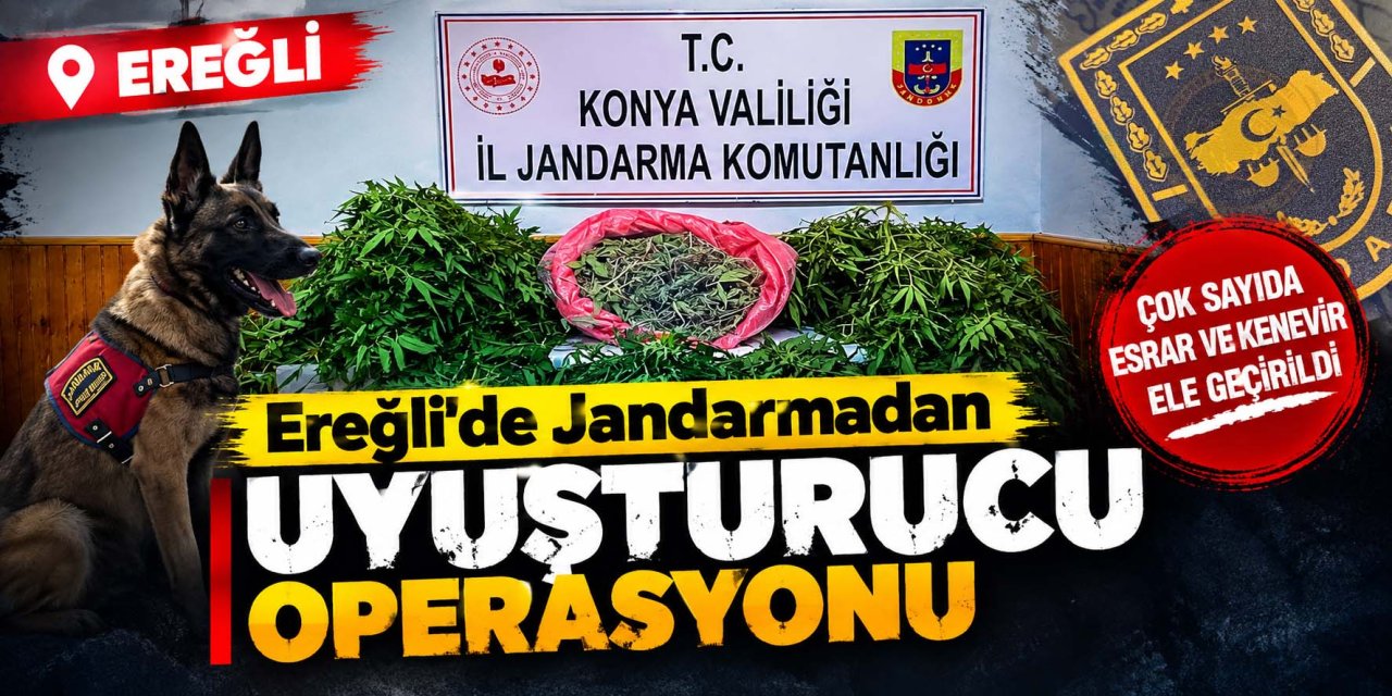 Ereğli’de Jandarmadan Uyuşturucu Operasyonu