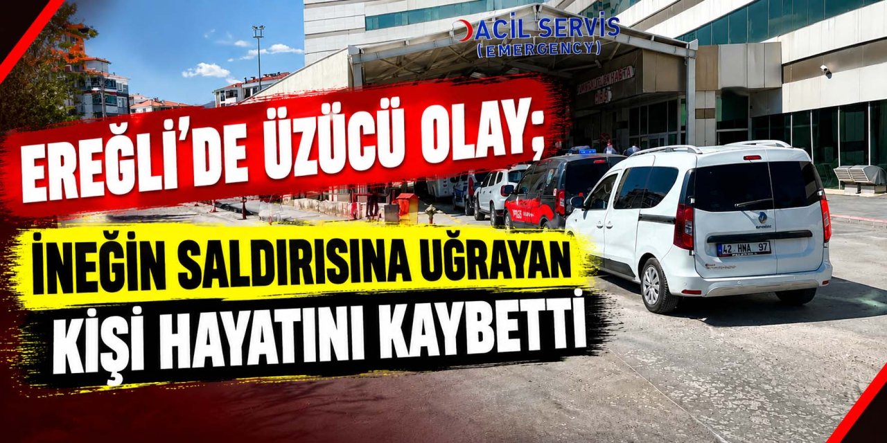 Ereğli’de Üzücü Olay; İneğin Saldırısına Uğrayan Kişi Hayatını Kaybetti