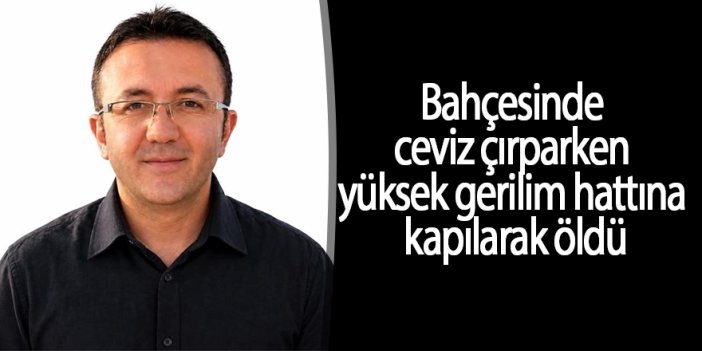 Bahçesinde ceviz çırparken yüksek gerilim hattına kapılarak öldü