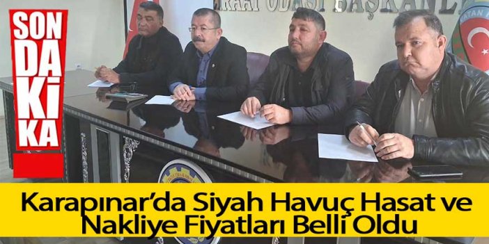 Havuç Söküm ve Nakliye Fiyatları Belli Oldu!