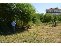 Eski Öğretmen Evi Sahası Otopark Olacak