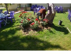 Belediye Ekiplerinden Yoğun Mesai