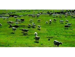 İlçe Tarım'dan Duyuru