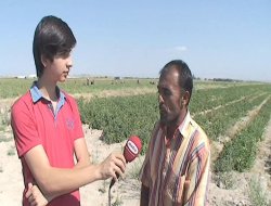 Dolandırıcılar Tarlaya İndi..