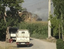 Yine Saman Balyaları  Yine Yangın