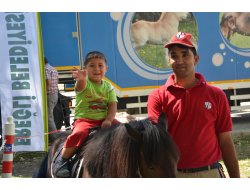 Çocuklara At Sevgisi Aşılanıyor