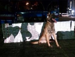 Yolcu Otobüsünde Kaçak Sigara Ele Geçirildi