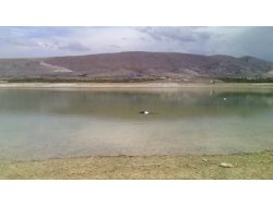 Kayıp Ferhat'ın Cesedi İvriz Barajında Bulundu