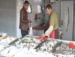 İyi Bir Balık Alırken Nelere Dikkat Etmeliyiz?