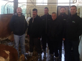 Sarıkafa: Söz Vermiştik