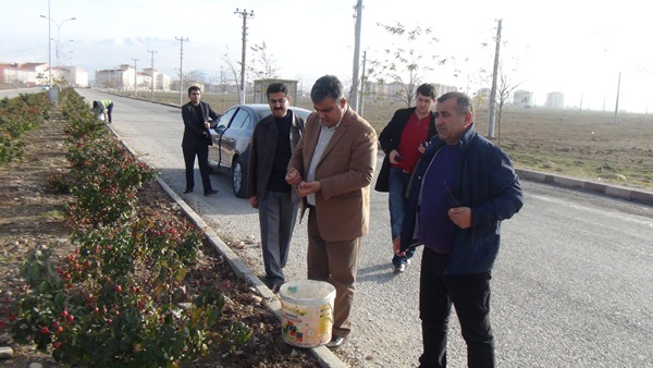 315 Konut Hayata Geçecek