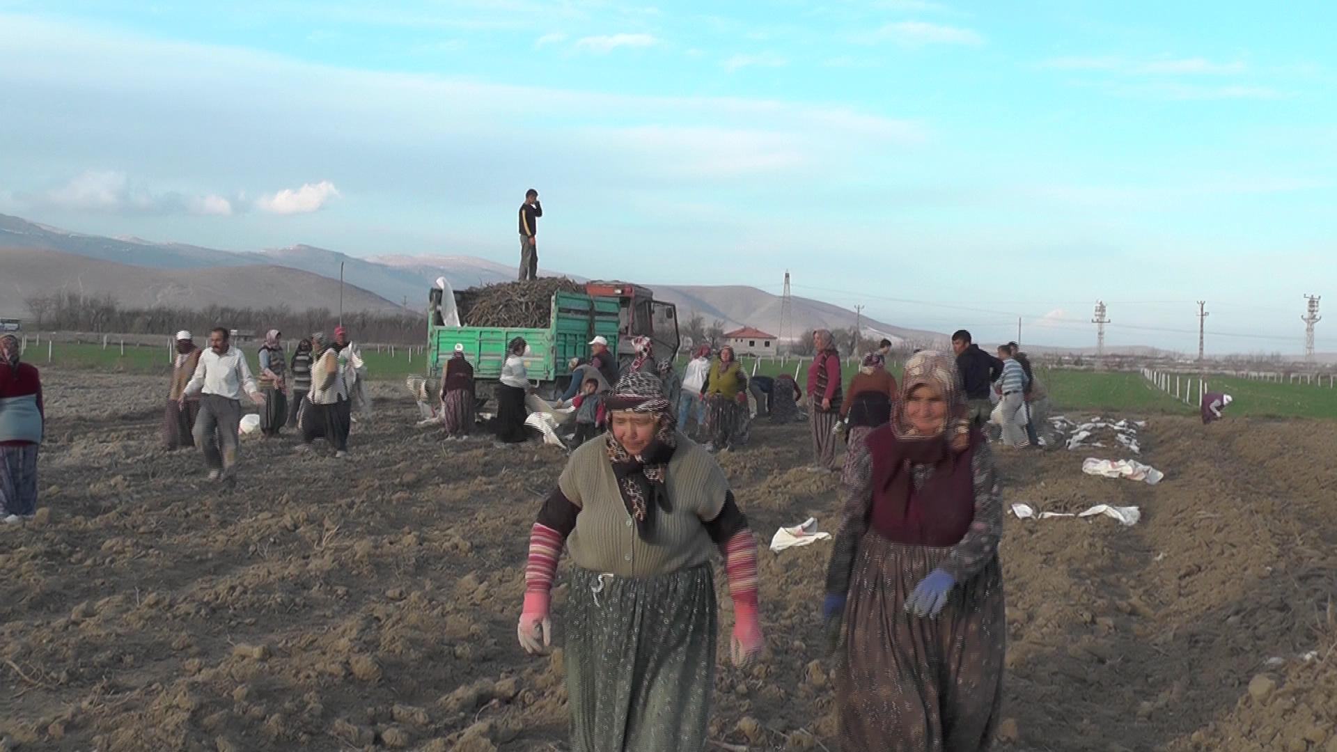 Onlar Soğuk,Yağmur,Çamur Demiyor ...