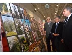 ‘Ağaçlar Hayattır’ Fotoğraf Sergisi Açıldı