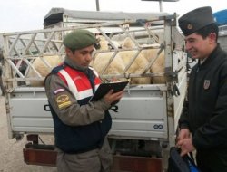 JANDARMA DENETİMLER ARTIRDI