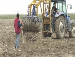 HAVUÇ ÜRETİCİSİ DERTLİ