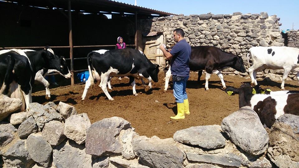 HAYVAN İŞLETMELERİNİN DENETİMİ BAŞLADI