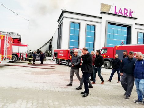 -----004.jpg -----004.jpg