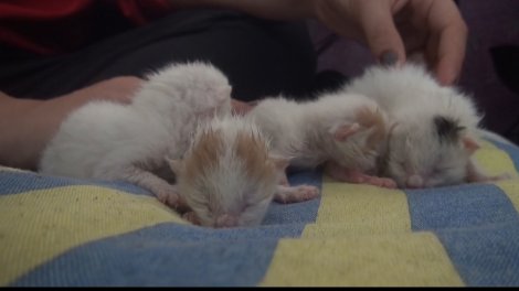 00000.00_03_32_02.still025.jpg 00000.00_03_32_02.still025.jpg