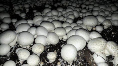 04.02.2020-baskan-oprukcu’dan-girisimcilere-ve-uretime-tam-destek-4.jpeg 04.02.2020-baskan-oprukcu’dan-girisimcilere-ve-uretime-tam-destek-4.jpeg