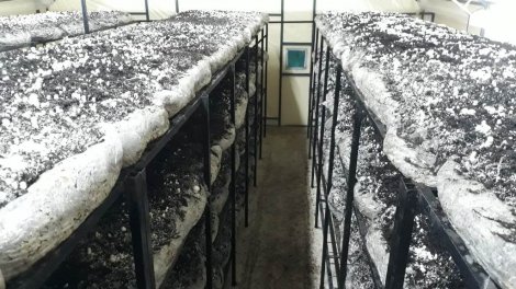 04.02.2020-baskan-oprukcu’dan-girisimcilere-ve-uretime-tam-destek-5.jpeg 04.02.2020-baskan-oprukcu’dan-girisimcilere-ve-uretime-tam-destek-5.jpeg