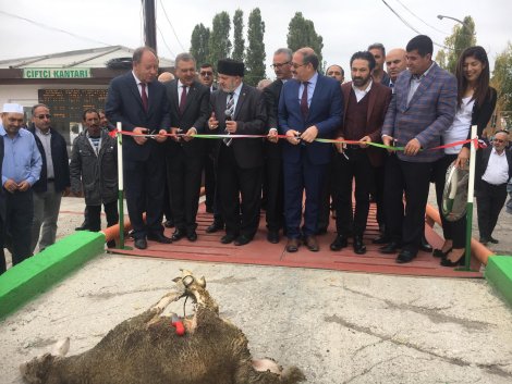 04ba2aad-8b83-4cd2-b723-611bf84f96e5.jpg 04ba2aad-8b83-4cd2-b723-611bf84f96e5.jpg