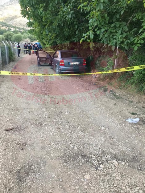 12-026.jpg 12-026.jpg