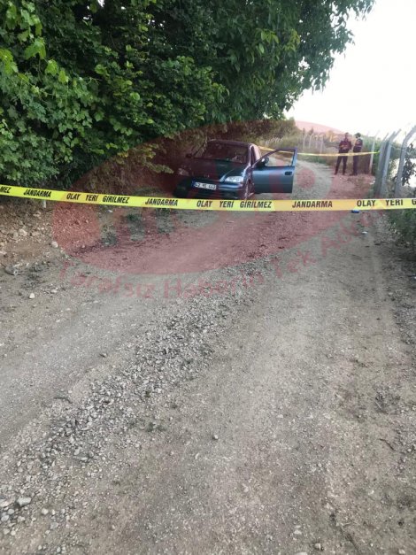 13-011.jpg 13-011.jpg