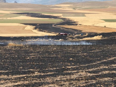 1921d2df-5cf7-4184-97aa-c2c9eb876a26.jpg 1921d2df-5cf7-4184-97aa-c2c9eb876a26.jpg