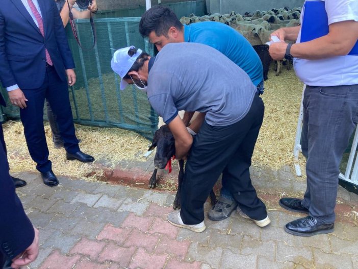 hayvanlar-afet-bolgesinde-vatandaslara-teslim-edildi-006.jpeg