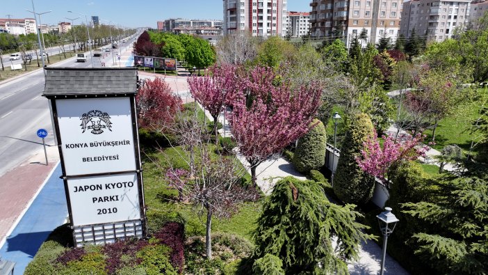 sakuralar-icin-japonyaya-gitmenize-gerek-yok-konyada-sakura-mevsimi-basladi-015.jpg