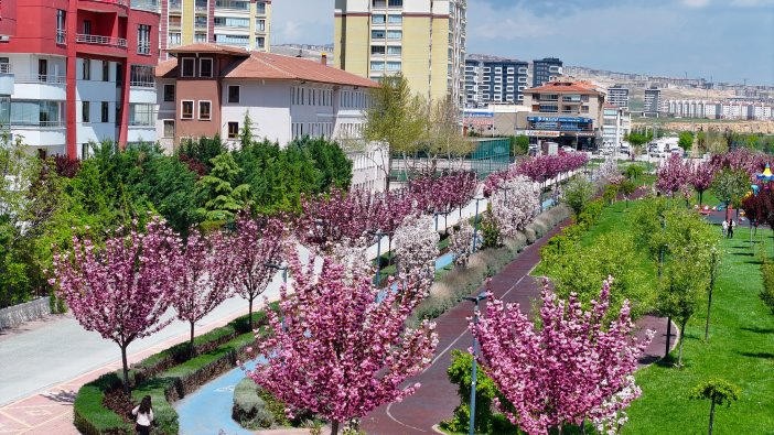 sakuralar-icin-japonyaya-gitmenize-gerek-yok-konyada-sakura-mevsimi-basladi-018.jpg
