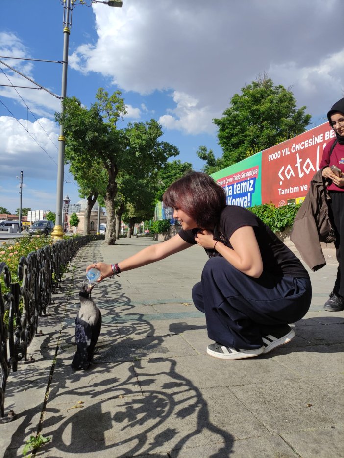 konyada-yurekleri-isitan-anlar-sicakta-susayan-kargaya-sefkat-eli.jpeg
