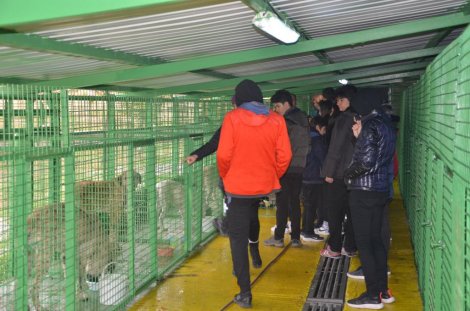 28.12.2019-eregli-belediyesi-hayvan-barinagi’na-ogrencilerden-ziyaret-2.jpg
