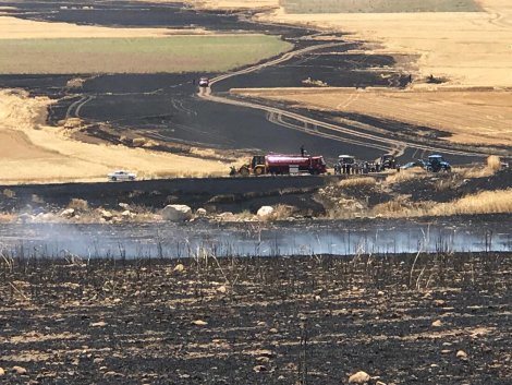 31572094-b260-41a5-b9f0-b4e7906a34d6.jpg 31572094-b260-41a5-b9f0-b4e7906a34d6.jpg