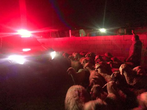 3577a5f1-4c8a-48a5-8cb1-4721fbe1f7bb.jpg 3577a5f1-4c8a-48a5-8cb1-4721fbe1f7bb.jpg