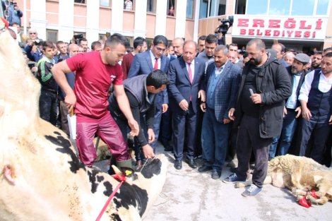 382241e8-7b91-4890-abc2-d9d03f34a27d.jpg 382241e8-7b91-4890-abc2-d9d03f34a27d.jpg