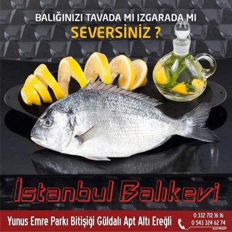 40092785_1667837113344612_1011891803856568320_n.jpg 40092785_1667837113344612_1011891803856568320_n.jpg