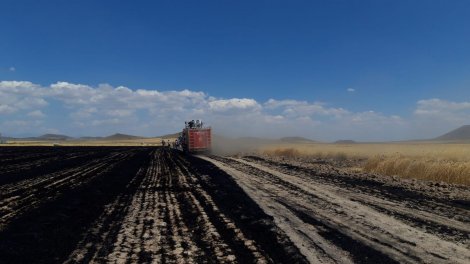 4f2d3ae5-15bd-48cb-be96-1dc890296229.jpg 4f2d3ae5-15bd-48cb-be96-1dc890296229.jpg