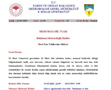 55467779_10216672071447066_5668614814990073856_n.jpg 55467779_10216672071447066_5668614814990073856_n.jpg