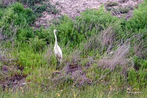 60579903_2863317540375609_1093109579589353472_o.jpg 60579903_2863317540375609_1093109579589353472_o.jpg