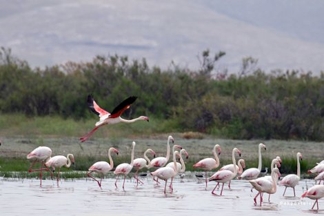 60603249_2863320477041982_6713296606797496320_o.jpg 60603249_2863320477041982_6713296606797496320_o.jpg