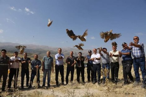 67511868_144266926771642_5337933901207699456_n.jpg 67511868_144266926771642_5337933901207699456_n.jpg