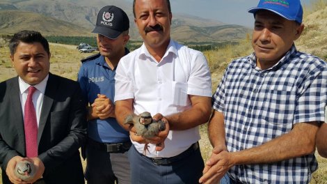 68752581_144267080104960_4290999785600581632_o.jpg 68752581_144267080104960_4290999785600581632_o.jpg