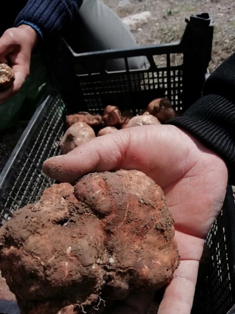 747727e2-60d8-4131-a157-62574ec6e31f.jpg 747727e2-60d8-4131-a157-62574ec6e31f.jpg