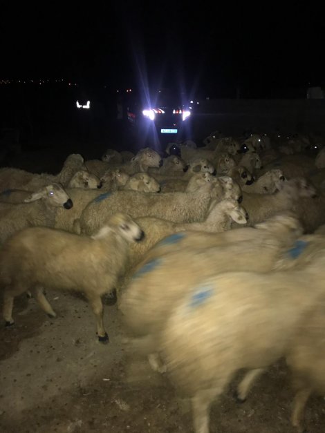 86a10641-af92-48bd-8419-6d4b4b72087b.jpg 86a10641-af92-48bd-8419-6d4b4b72087b.jpg