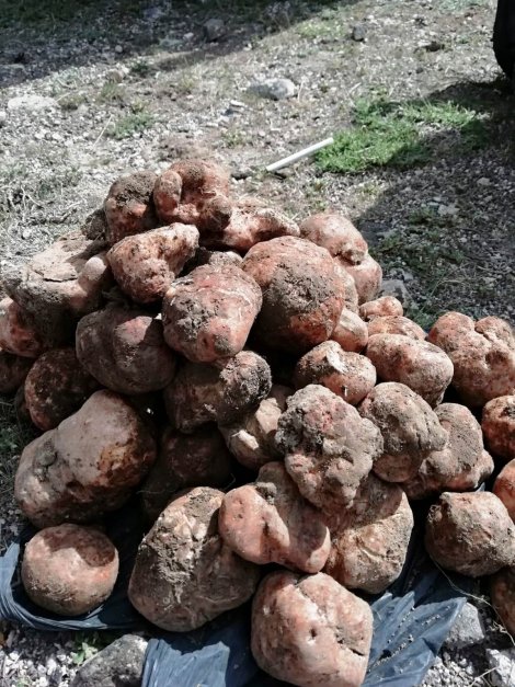 9b30bd93-ff68-4944-af87-0001e28aa36f-002.jpg 9b30bd93-ff68-4944-af87-0001e28aa36f-002.jpg