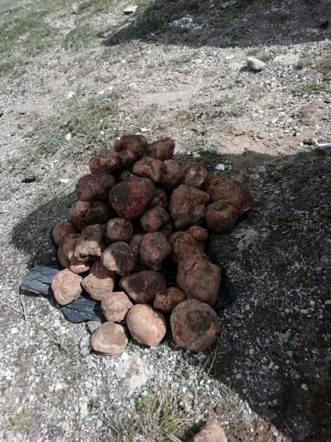 9e1834d5-798f-4bc7-8e52-61e9f54190ca.jpg 9e1834d5-798f-4bc7-8e52-61e9f54190ca.jpg