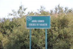 akgol-tabela-004.jpg