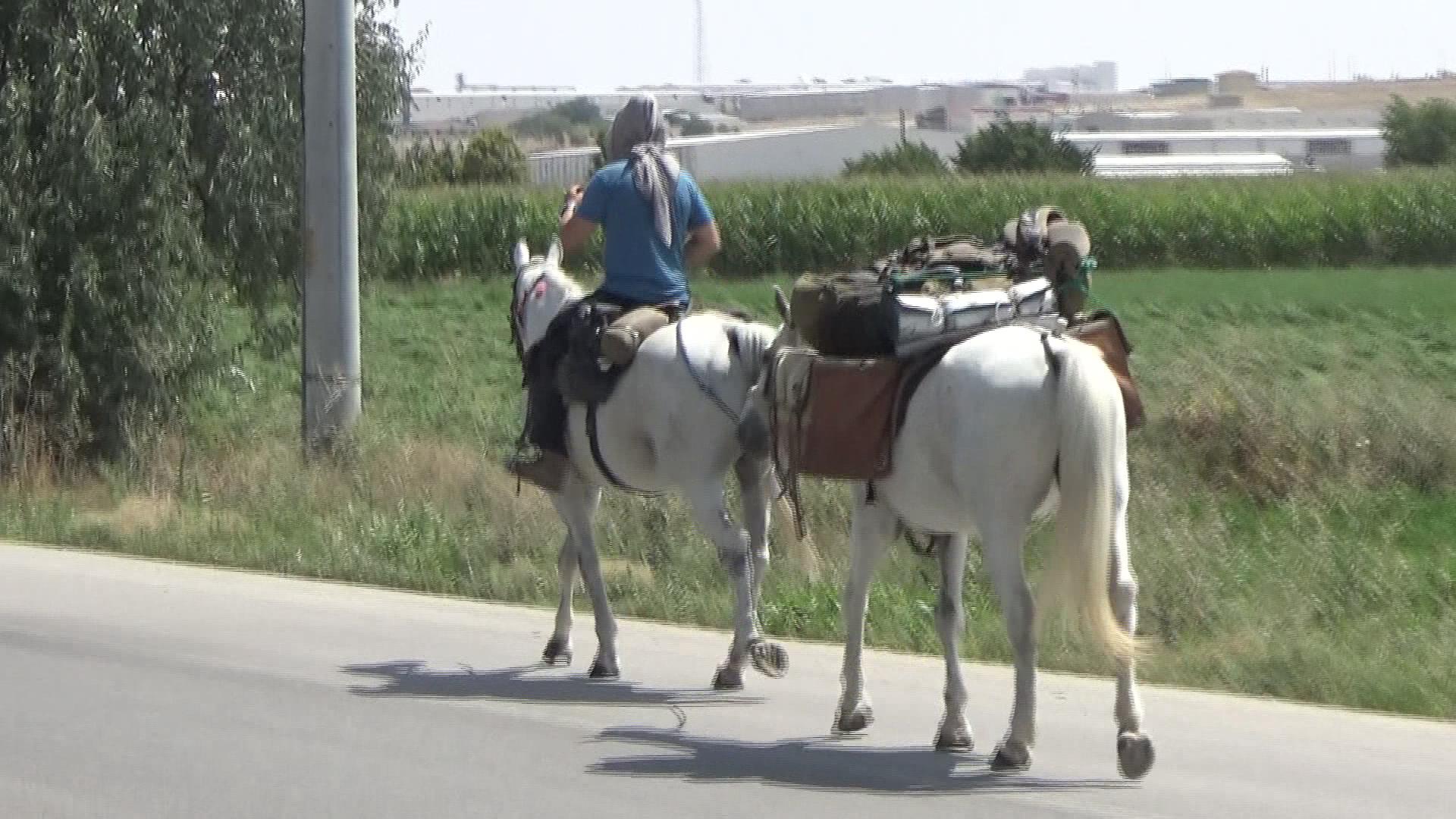 at-sirtinda-hac-yolculugu002.jpg at-sirtinda-hac-yolculugu002.jpg