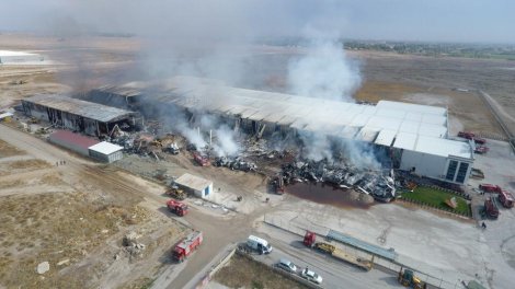 bc253b19-87c8-4ad1-bcf3-fc8aa82cda31.jpg bc253b19-87c8-4ad1-bcf3-fc8aa82cda31.jpg